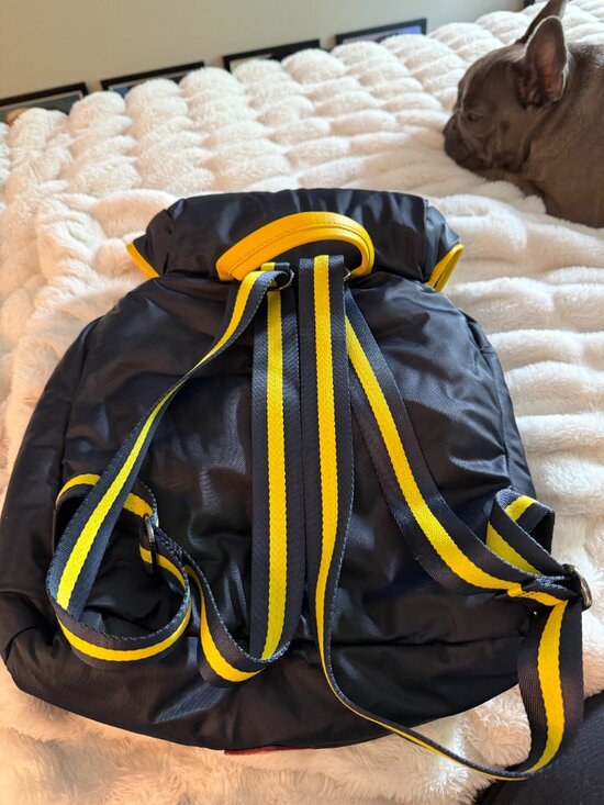 Backpacks